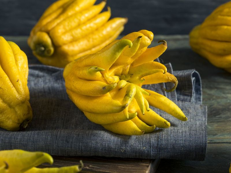 Buddha’s Hand