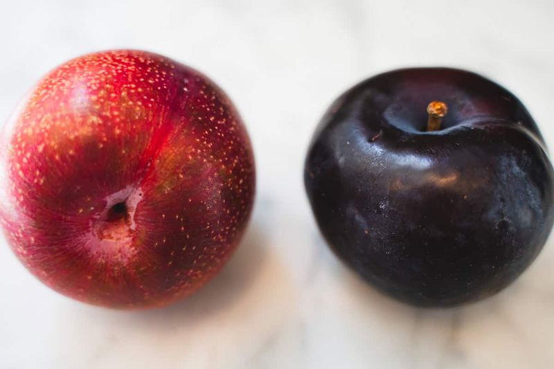 Plum