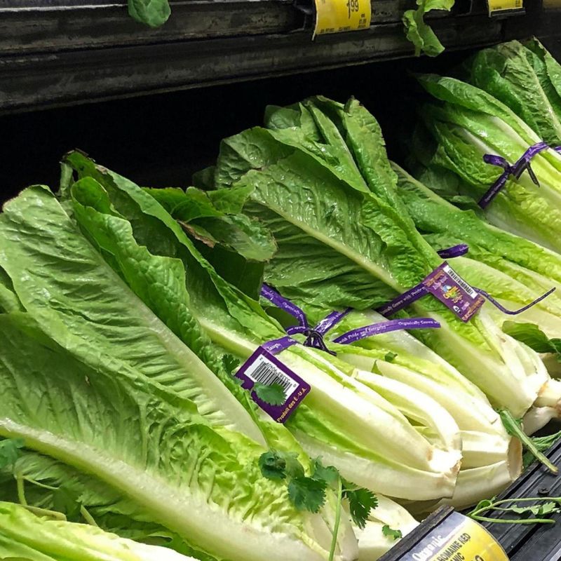 Lettuce Prices That Will Make You Wilt