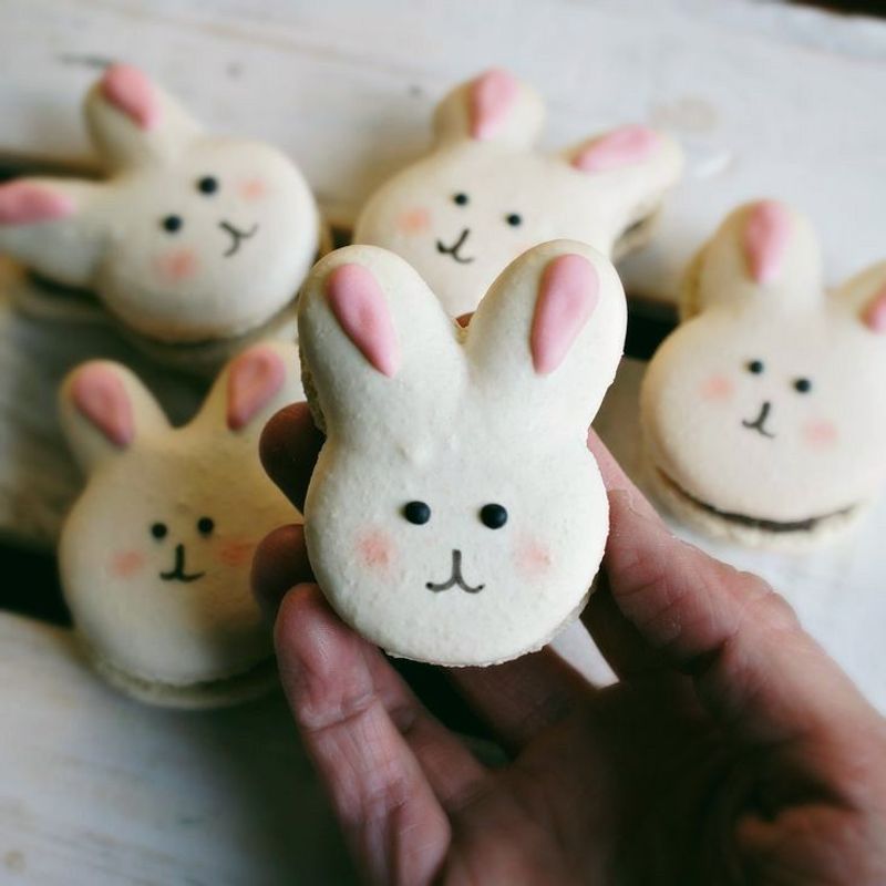 Bunny Macaron Sandwich Cookies