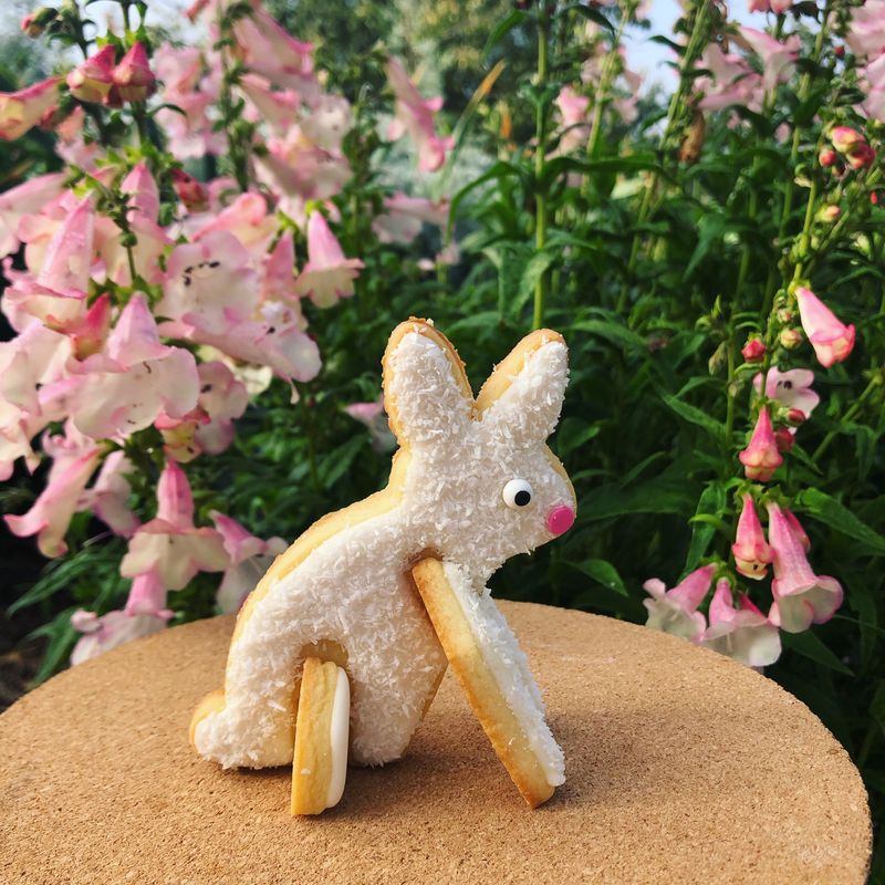 3D Standing Rabbit Cookies