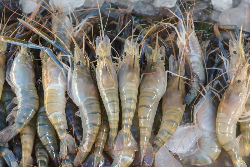 Buying Imported Tiger Prawns