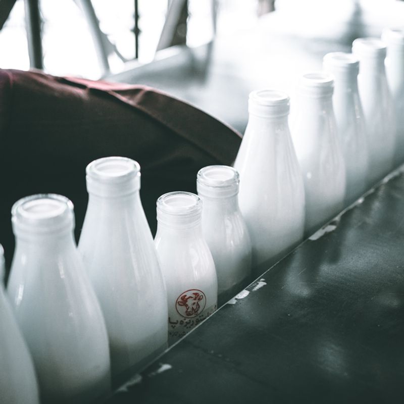 Dairy Dangers