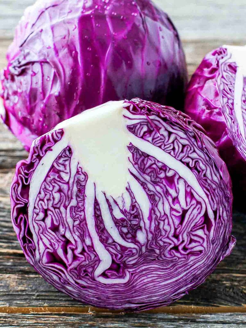 Purple Cabbage