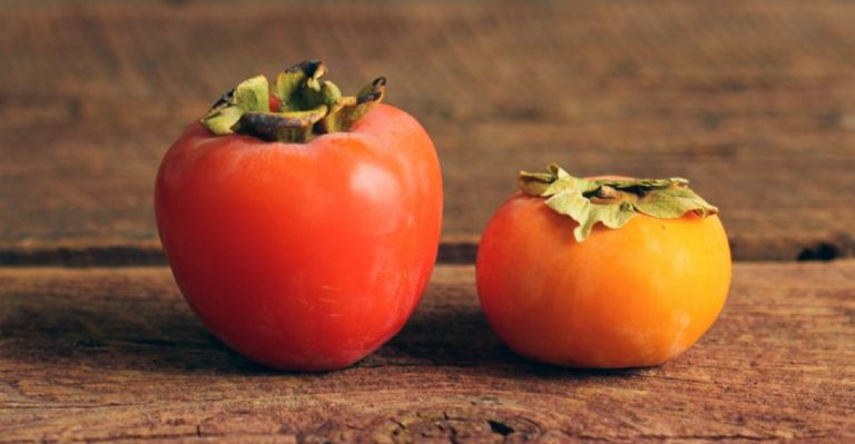 Everything You Should Know About Persimmons