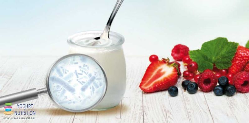 Yogurt - The Bacterial Concern