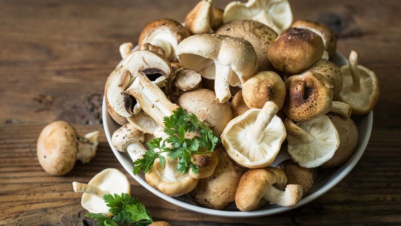 Mushrooms: Umami-Packed Immune Supporters
