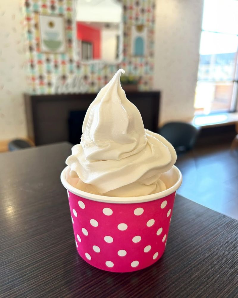 Frozen Yogurt