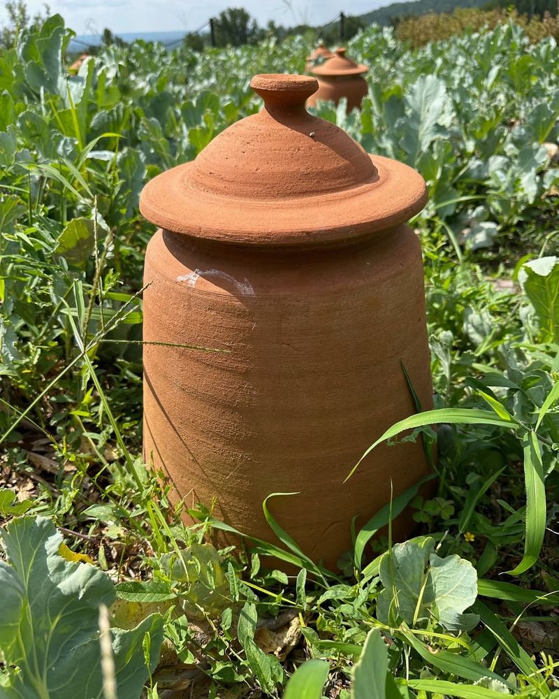 Clay Pots
