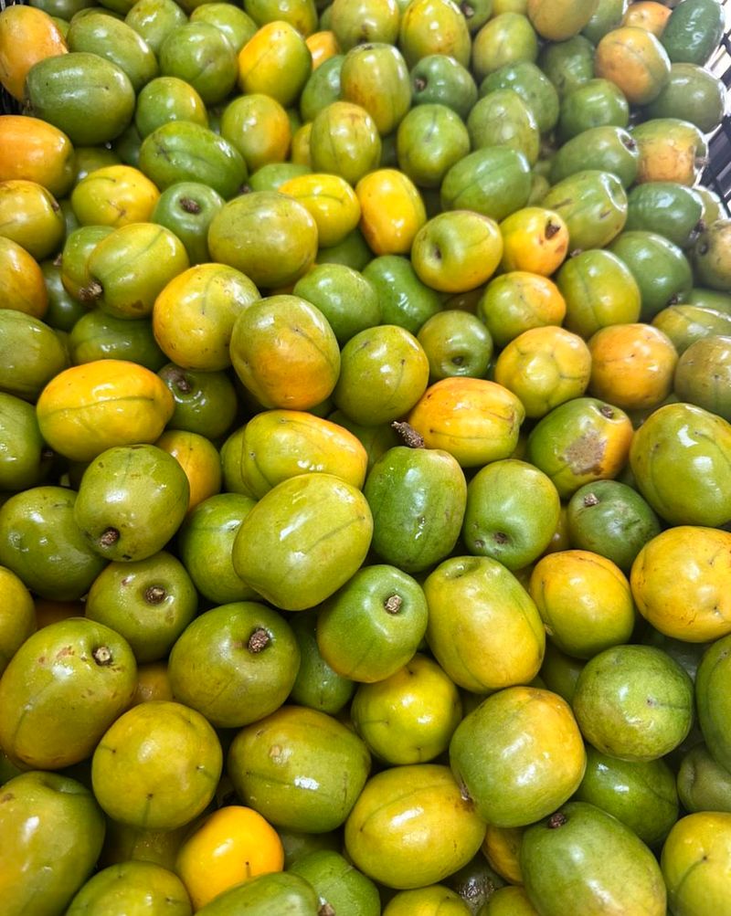 Hog Plum
