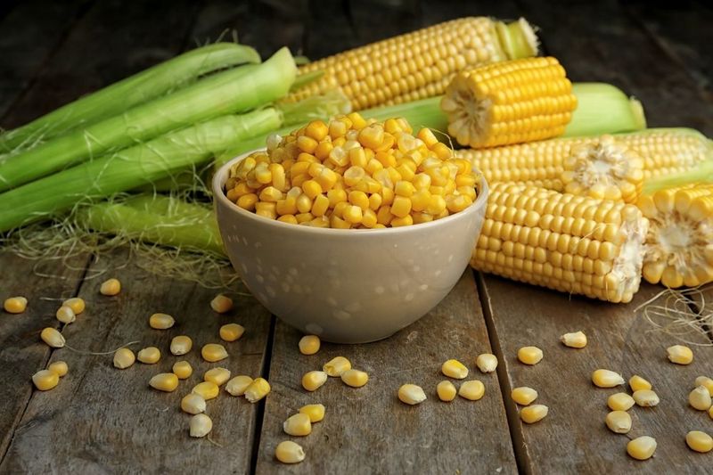 Conventional Corn: The Starchy Sugar Bomb