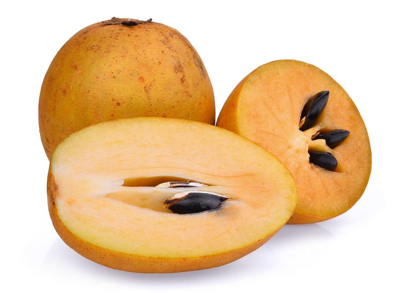 Sapodilla