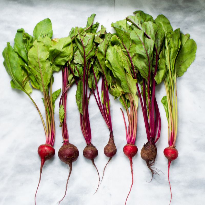 Cook From Root To Stem