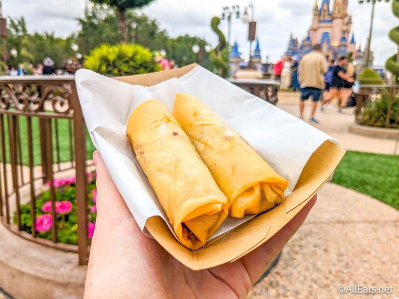 Cheeseburger Spring Rolls