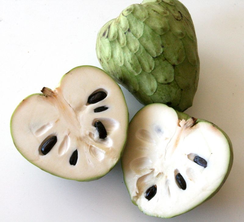 Cherimoya (Custard Apple)