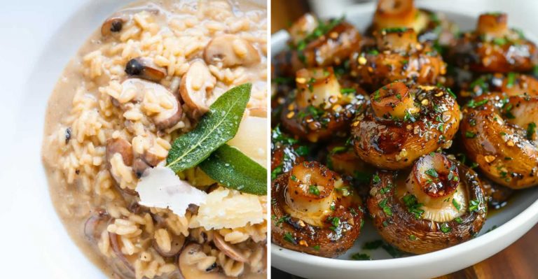Munch On These 31 Mouthwatering Recipes With Mushrooms (Including 5 That’ll Be Your New Obsession)