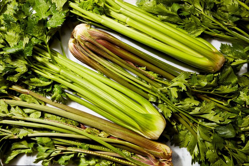 Celery