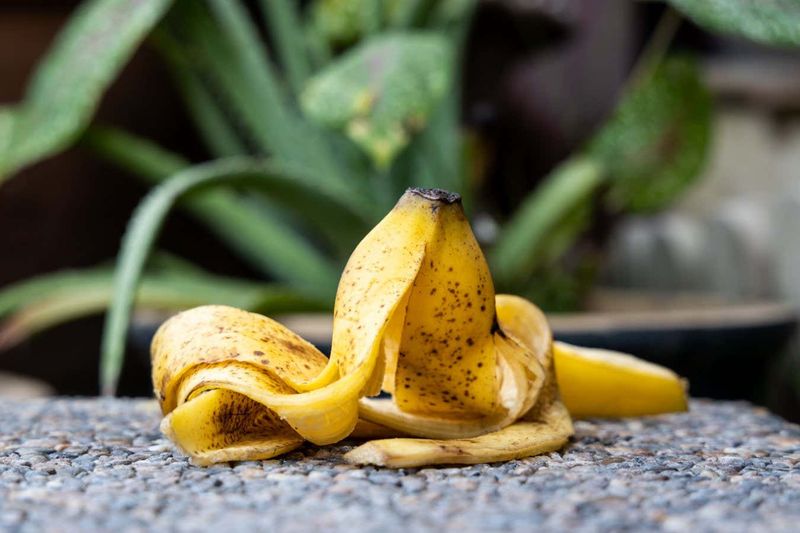 Banana Peels: Not For Humans