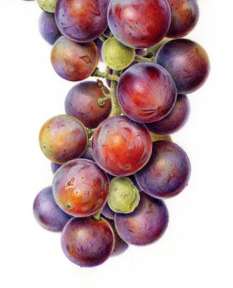 Grapes