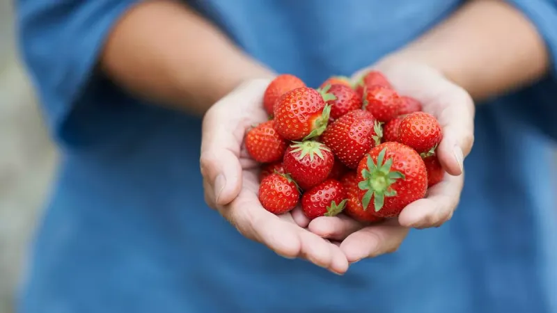 Strawberries