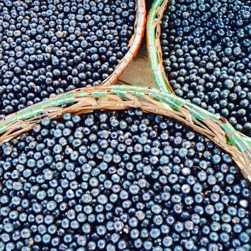 Acai Berries