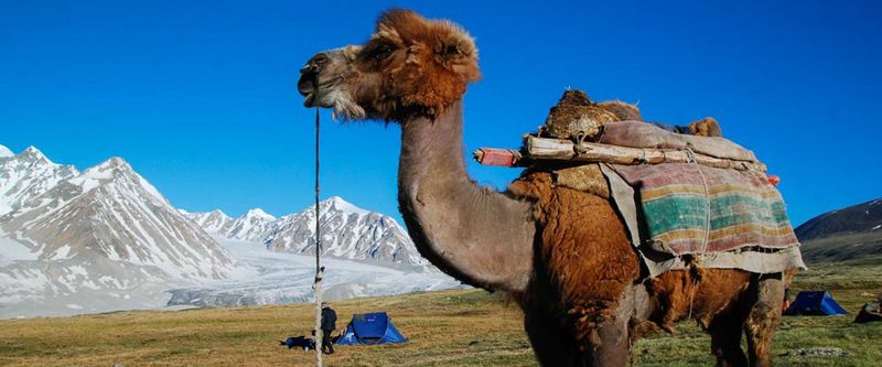 Mongolia: The Airag Toast