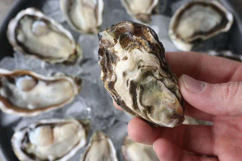 Shellfish