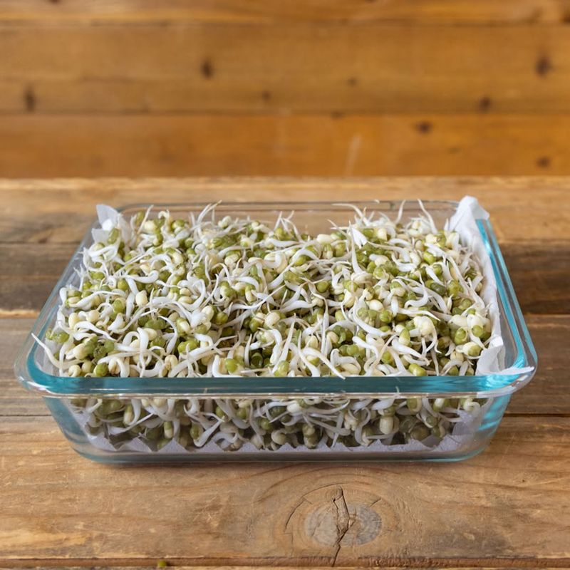 Sprouts