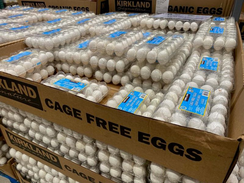 Non-Cage-Free Kirkland Eggs
