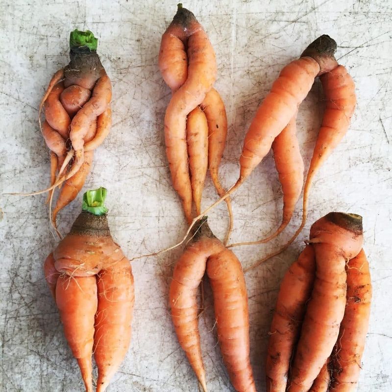 Embrace Imperfect Produce