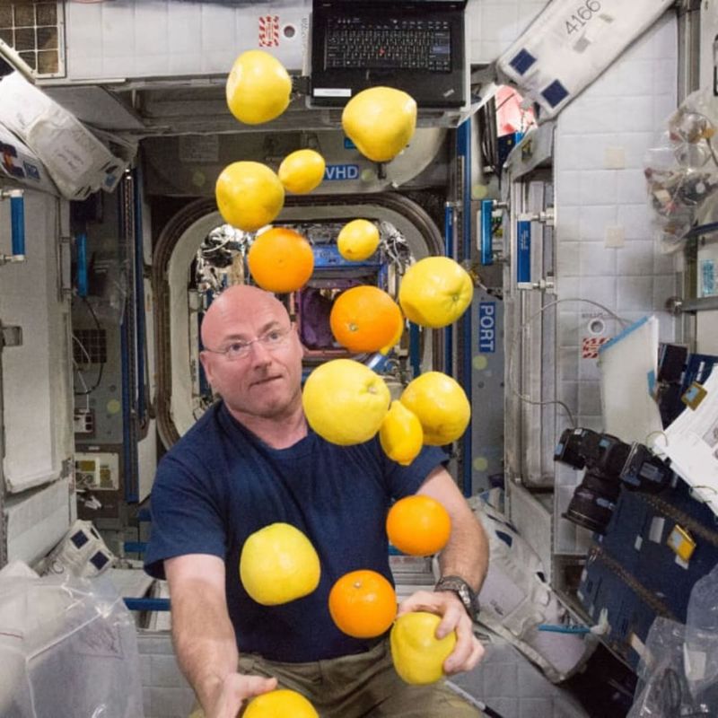 Thermostabilized Fruits - The Fresh Food Fix