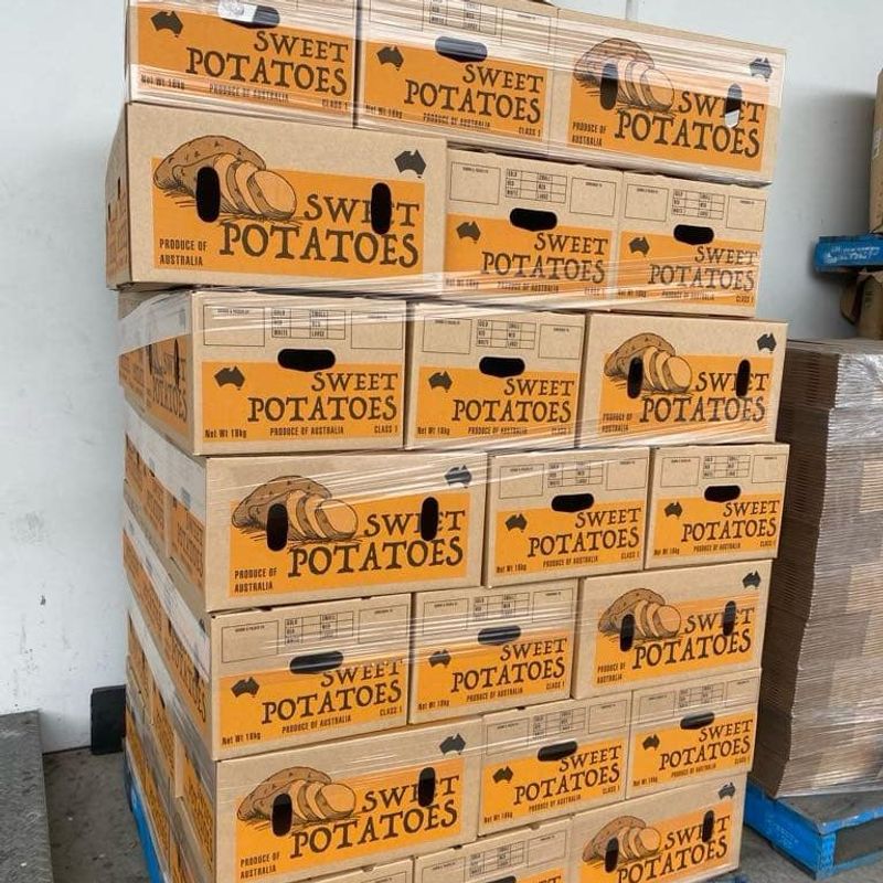 Cardboard Boxes