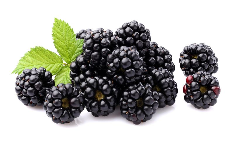 Blackberries