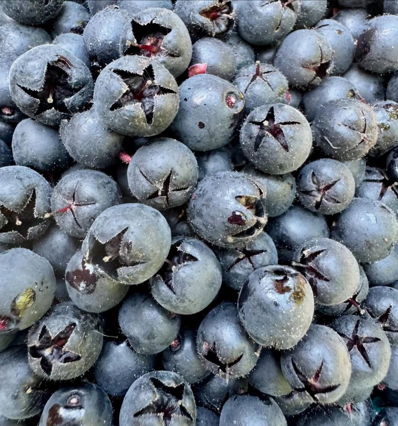 Berries