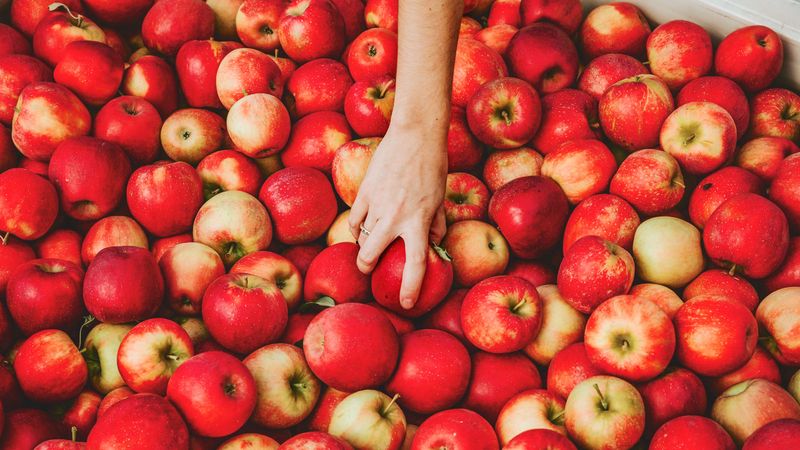Apples