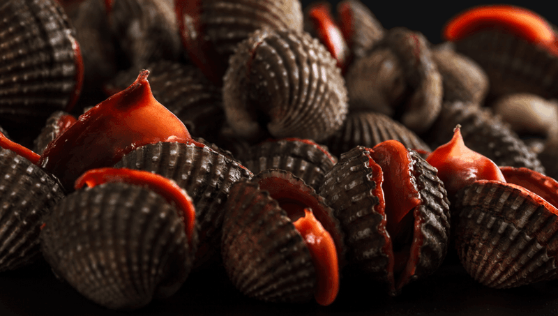 Blood Clams