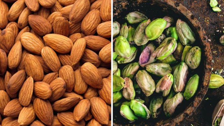 The 19 Protein-Packed Nuts You Should Be Snacking On