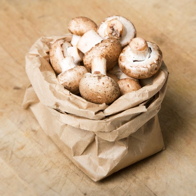 The Mushroom Paper Bag Secret
