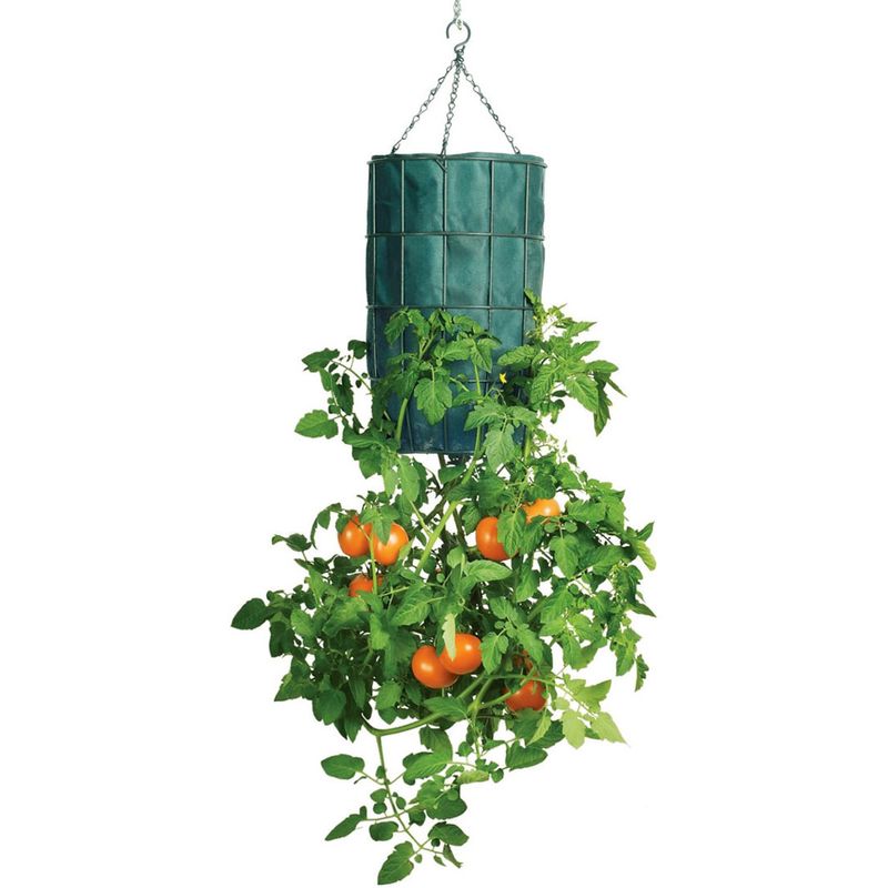 The Tomato Upside-Down Trick