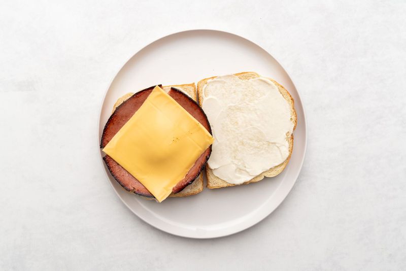 Bologna And American Cheese Symphony