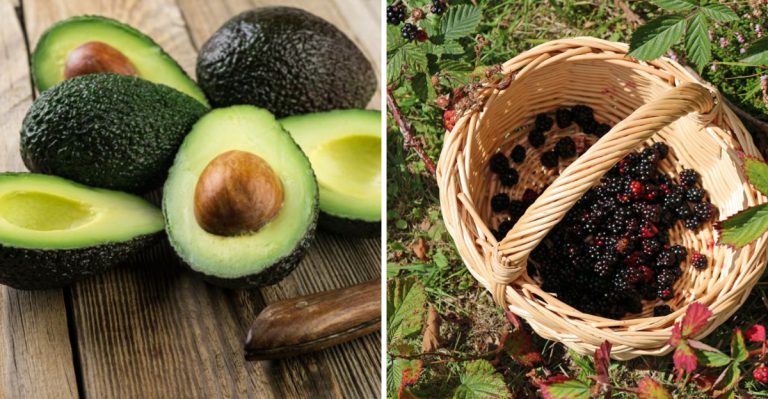 Ultimate Low Carb Fruit List