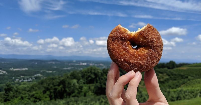 Carter Mountain Apple Cider Donuts
