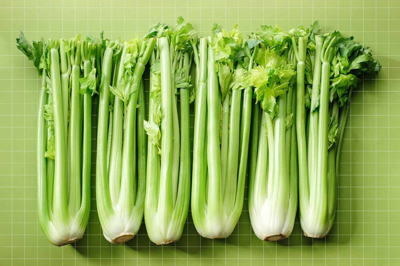 Celery: The Negative-Calorie Myth