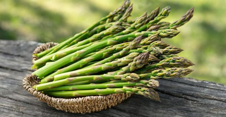 Why You Should Be Wary Of Thin Asparagus (3 Are Totally Unexpected)