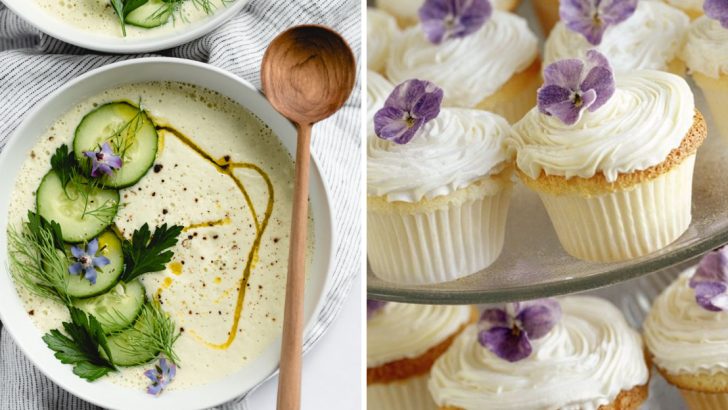 13 Edible Flower Recipes That Are As Gorgeous As They Are Tasty