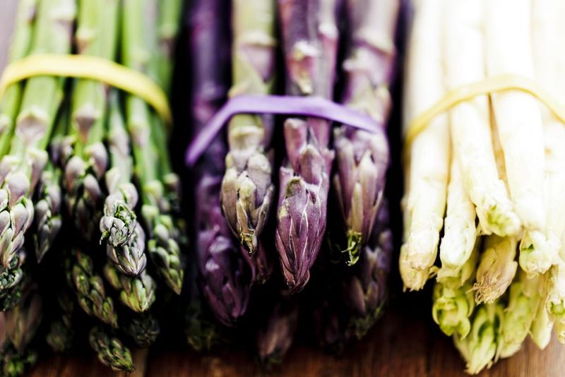 Rich In Antioxidants
