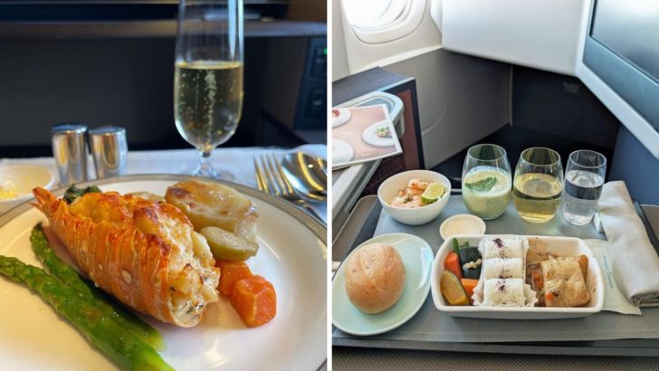 15 In-Flight Meals That Redefine Airline Food