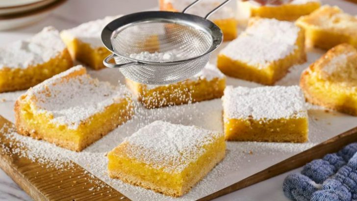15 Lemon Cream Pie Bars That Practically Melt In Your Mouth