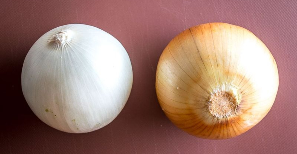 many types of onion