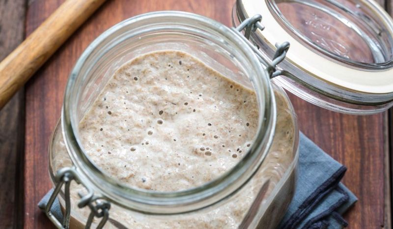 Feeding Your Starter Too Infrequently